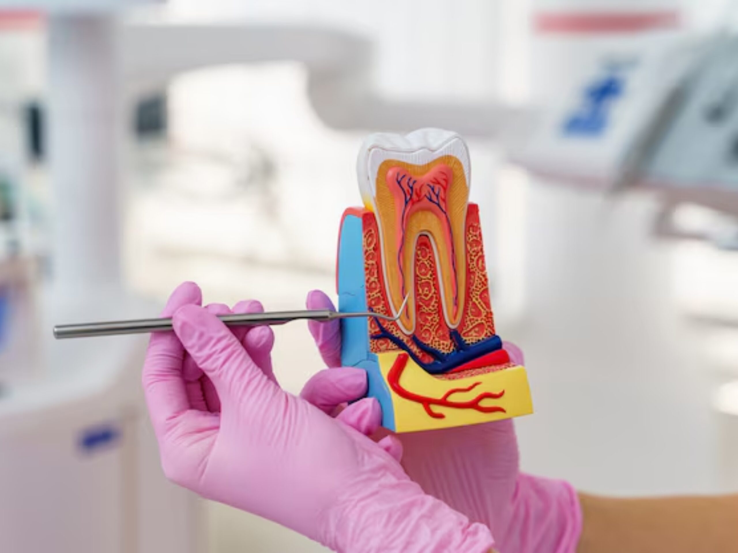 Smile brighter with our expert dental care treatment services, from routine cleanings to advanced treatments.